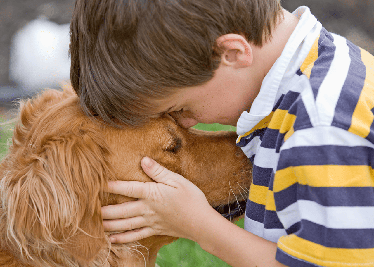 5 unexpected ways service and emotional support dogs improve and save human lives